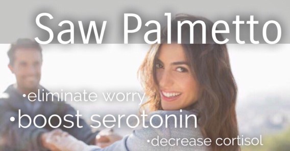 Curb anxiety, irritability, and low energy with this amazing herb — Saw Palmetto